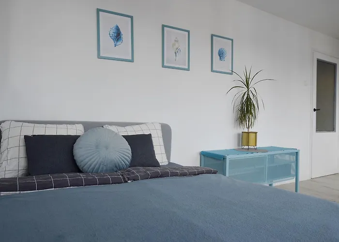 Targ Na Starym Miescie Z Widokiem Na Rzeke Free Parking